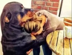 關于狗子，你不知道的秘密