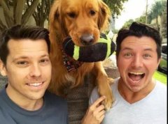 論演技，你恐怕比不上一只狗。。。